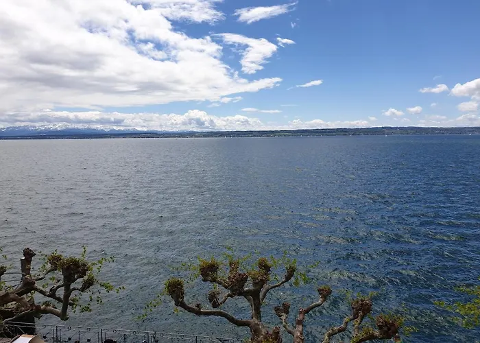 Szálloda Strand-cafe *